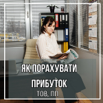Як порахувати прибуток ТОВ та ПП?