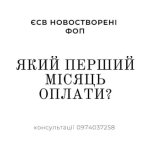 ЄСВ ФОП. Який перший місяць оплати?
